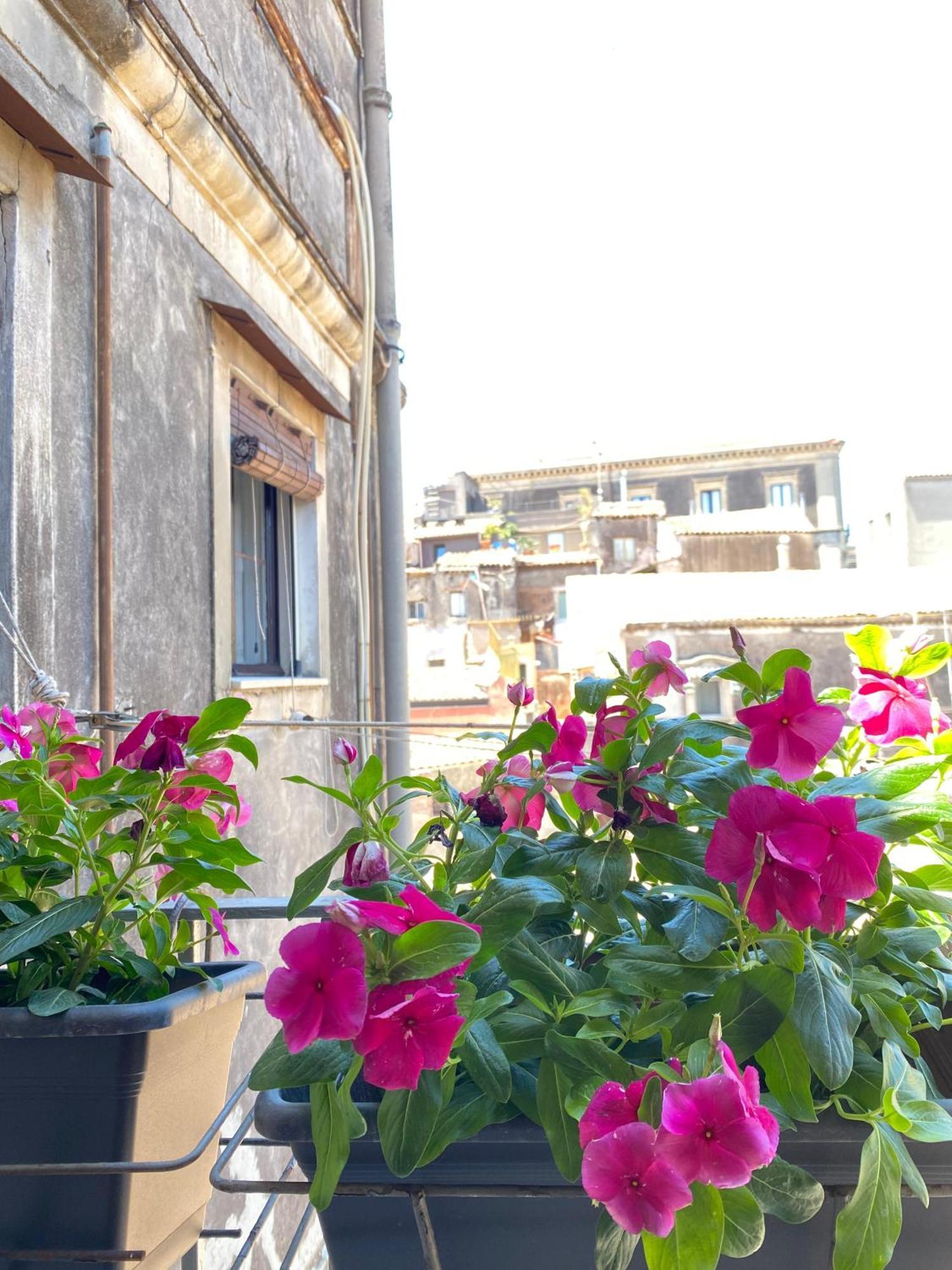 Dimora Dei Minoriti Bed & Breakfast Catania Exterior photo
